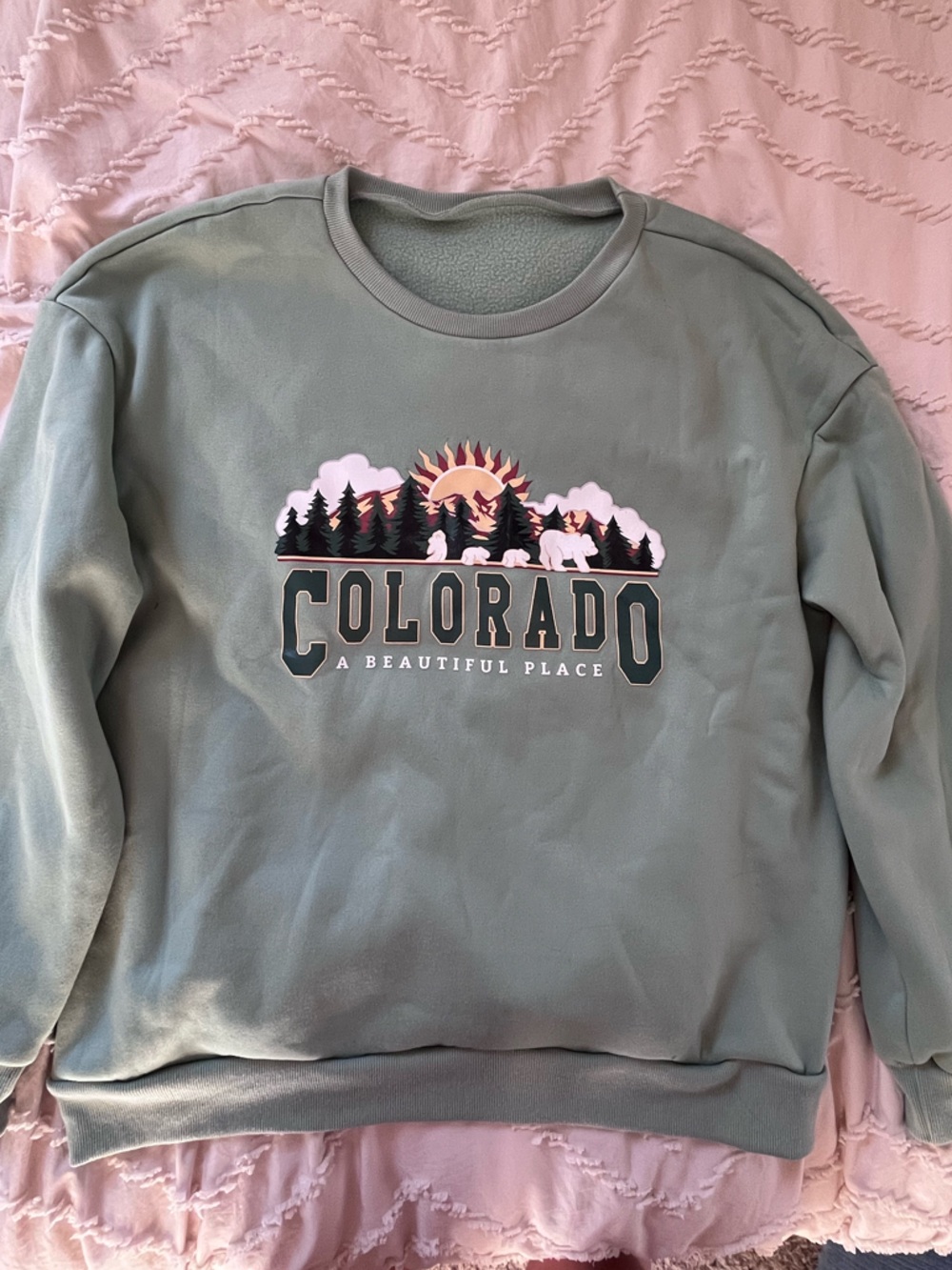 SHEIN Mint Green Fleece-Lined Pullover